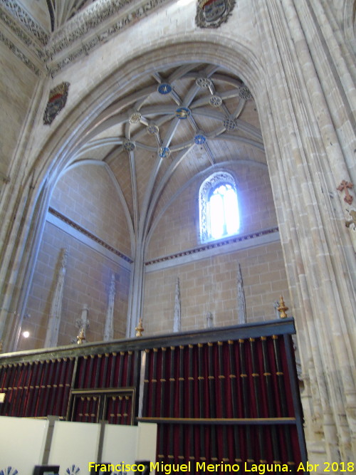 Catedral Nueva. Capilla de San Clemente - Catedral Nueva. Capilla de San Clemente. 