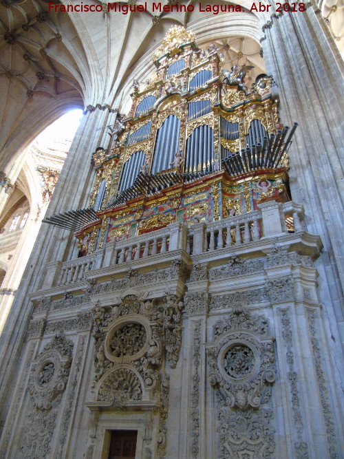 Catedral Nueva. rgano del Evangelio - Catedral Nueva. rgano del Evangelio. 