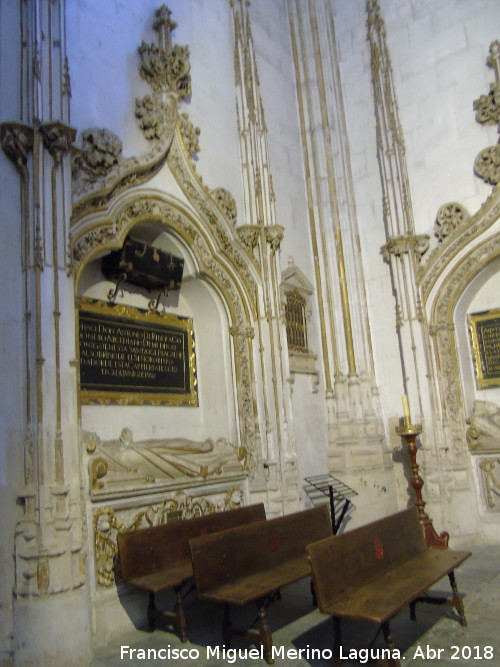 Catedral Nueva. Capilla de la Virgen de la Verdad - Catedral Nueva. Capilla de la Virgen de la Verdad. Sepulcro