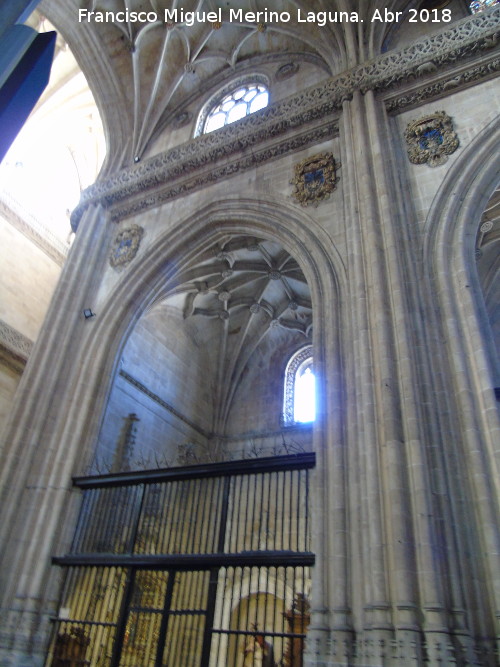 Catedral Nueva. Capilla de la Virgen de la Cabeza - Catedral Nueva. Capilla de la Virgen de la Cabeza. 