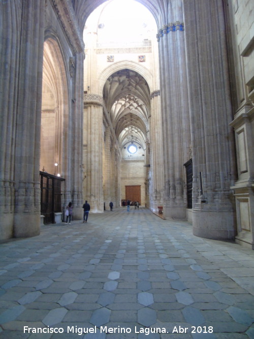 Catedral Nueva. Nave de la Epstola - Catedral Nueva. Nave de la Epstola. 