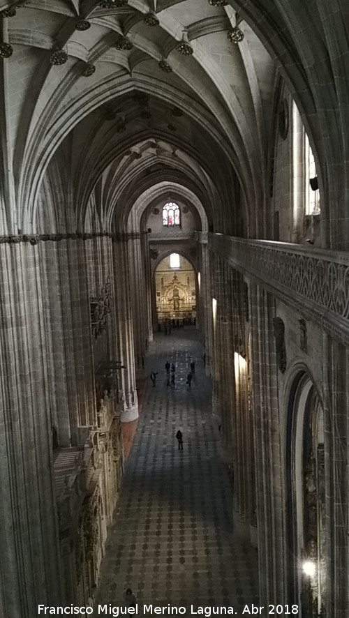 Catedral Nueva. Nave de la Epstola - Catedral Nueva. Nave de la Epstola. 