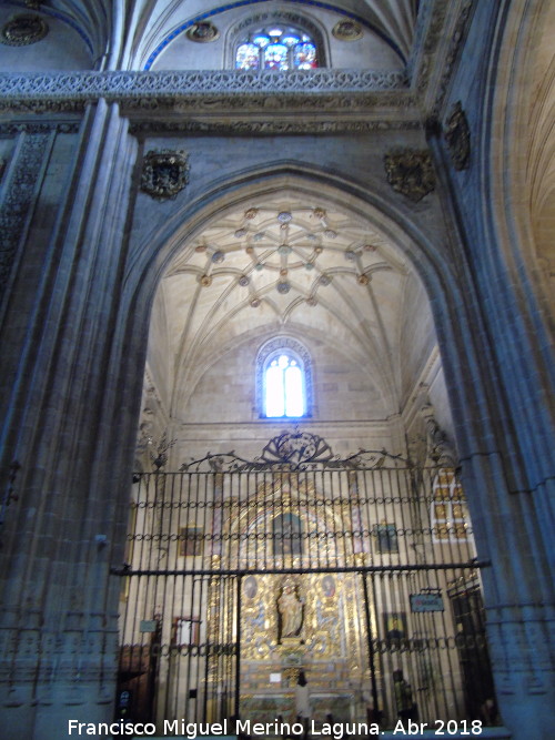 Catedral Nueva. Capilla de San Jos - Catedral Nueva. Capilla de San Jos. 