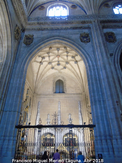 Catedral Nueva. Capilla de San Nicols de Bari - Catedral Nueva. Capilla de San Nicols de Bari. 