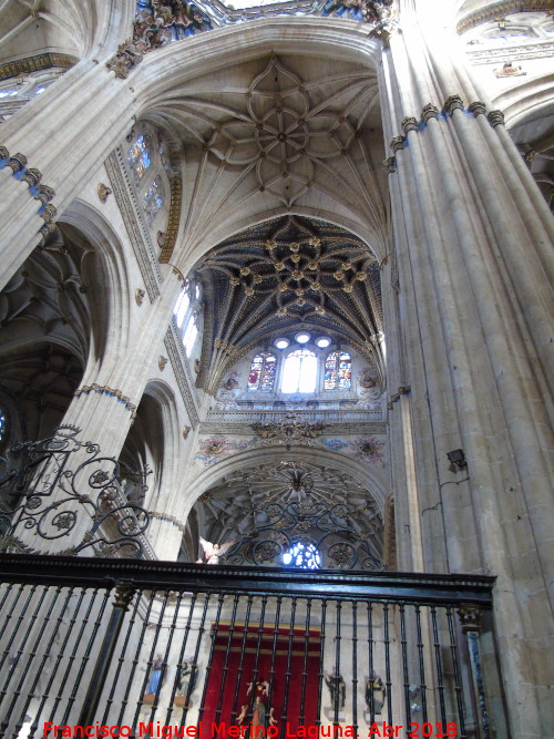 Catedral Nueva. Capilla Mayor - Catedral Nueva. Capilla Mayor. Bvedas de crucera