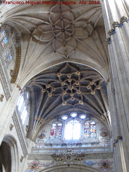 Catedral Nueva. Capilla Mayor - Catedral Nueva. Capilla Mayor. Bvedas de crucera