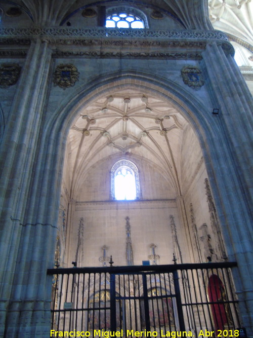 Catedral Nueva. Capilla del Nazareno - Catedral Nueva. Capilla del Nazareno. 