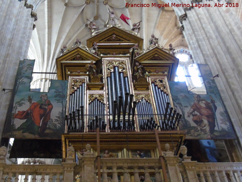 Catedral Nueva. rgano de la Epstola - Catedral Nueva. rgano de la Epstola. 