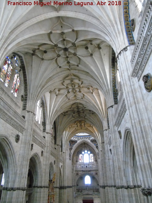 Catedral Nueva. Nave Central - Catedral Nueva. Nave Central. Bvedas de crucera