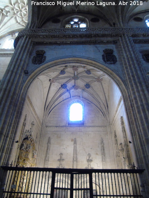 Catedral Nueva. Capilla de la Virgen del Desagravio - Catedral Nueva. Capilla de la Virgen del Desagravio. 