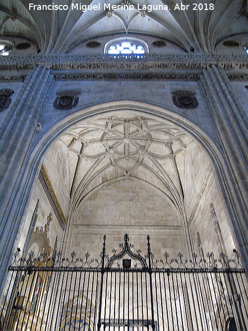 Catedral Nueva. Capilla de San Bartolom - Catedral Nueva. Capilla de San Bartolom. 