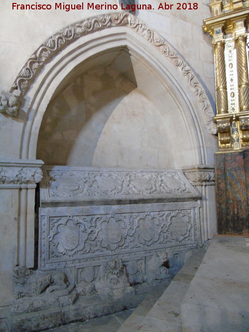 Catedral Vieja. Capilla Anaya - Catedral Vieja. Capilla Anaya. Sepulcro