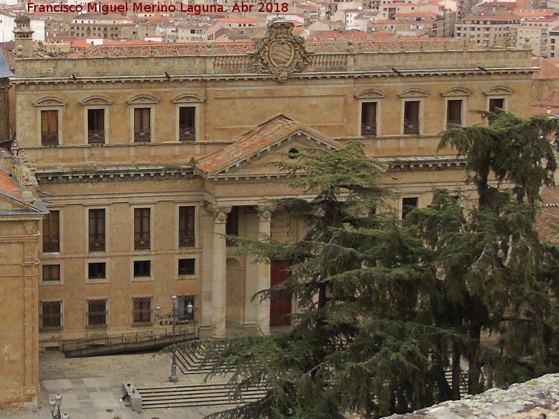 Palacio de Anaya - Palacio de Anaya. Desde la Catedral