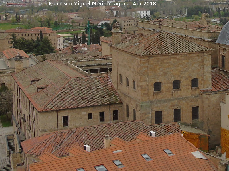 Palacio de Anaya - Palacio de Anaya. Desde la Clereca