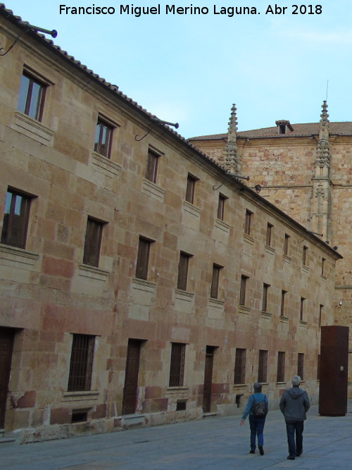 Casa de los Gatos - Casa de los Gatos. Lateral del Patio de Escuelas