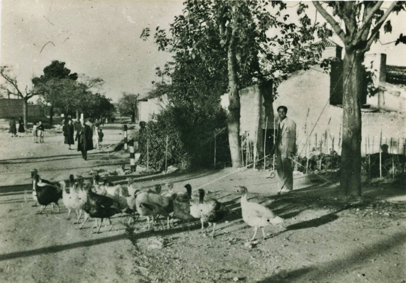 Estacin de Jan - Estacin de Jan. El Pavero en el primer paso a nivel. Fotografa de Manuel Romero Avila, ao 1955 IEG