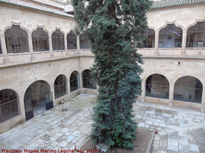 Escuelas Mayores. Patio - Escuelas Mayores. Patio. 