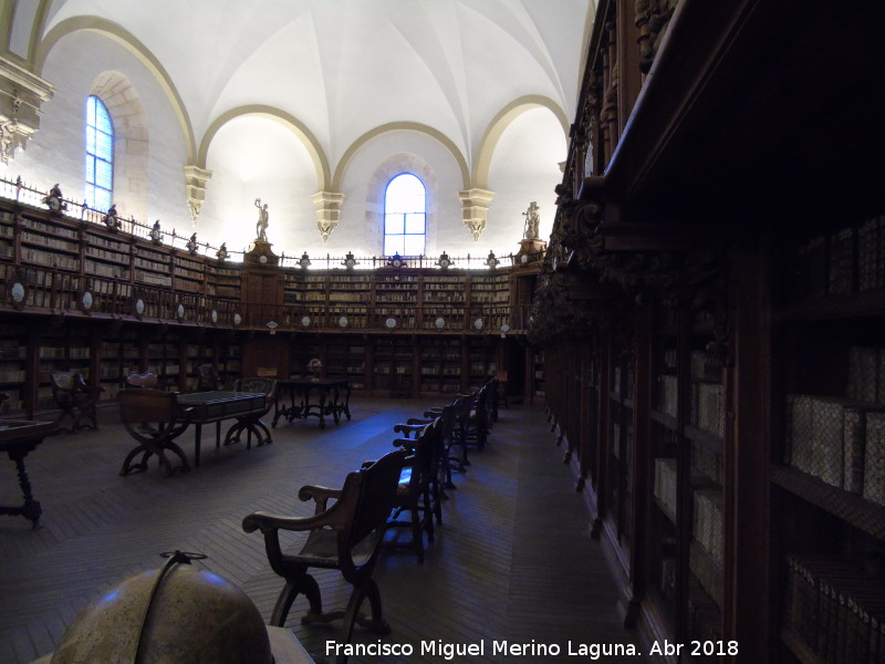 Escuelas Mayores. Biblioteca - Escuelas Mayores. Biblioteca. 