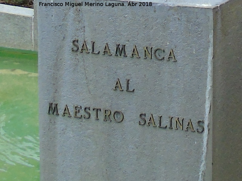 Monumento al Maestro Salinas - Monumento al Maestro Salinas. 