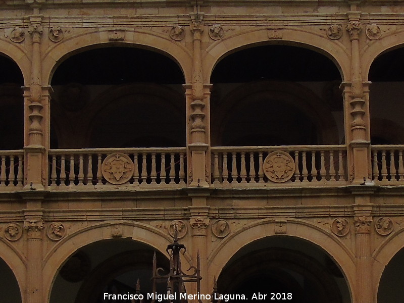 Colegio del Arzobispo Fonseca - Colegio del Arzobispo Fonseca. Detalle