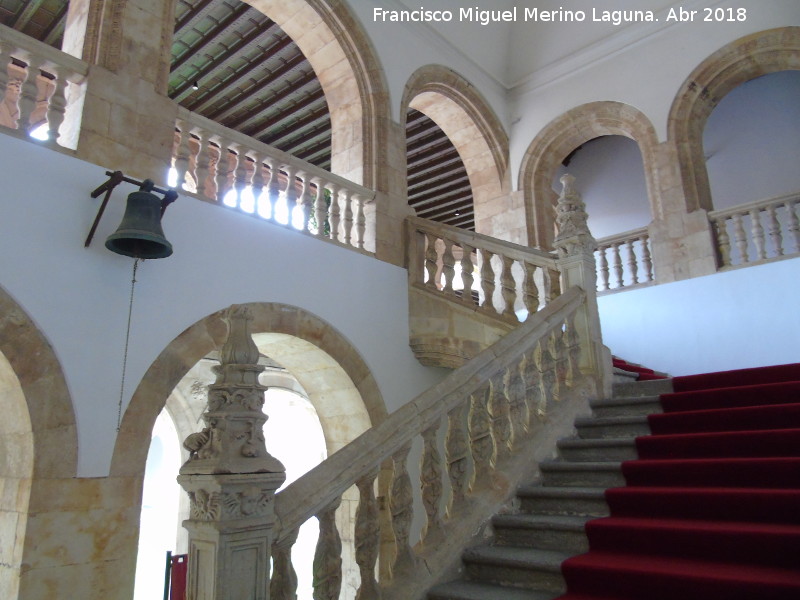 Colegio del Arzobispo Fonseca - Colegio del Arzobispo Fonseca. Escalera