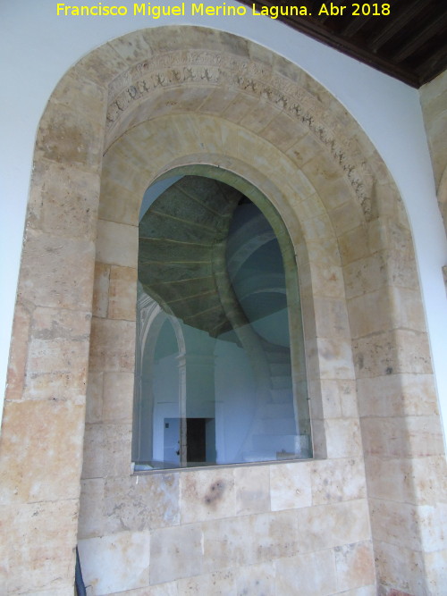 Colegio del Arzobispo Fonseca - Colegio del Arzobispo Fonseca. Escaleras de caracol