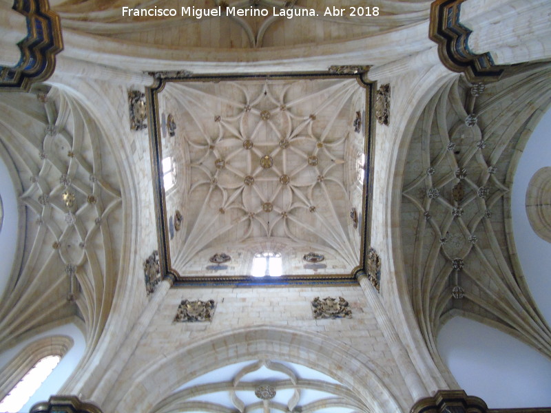 Colegio del Arzobispo Fonseca - Colegio del Arzobispo Fonseca. Crucero