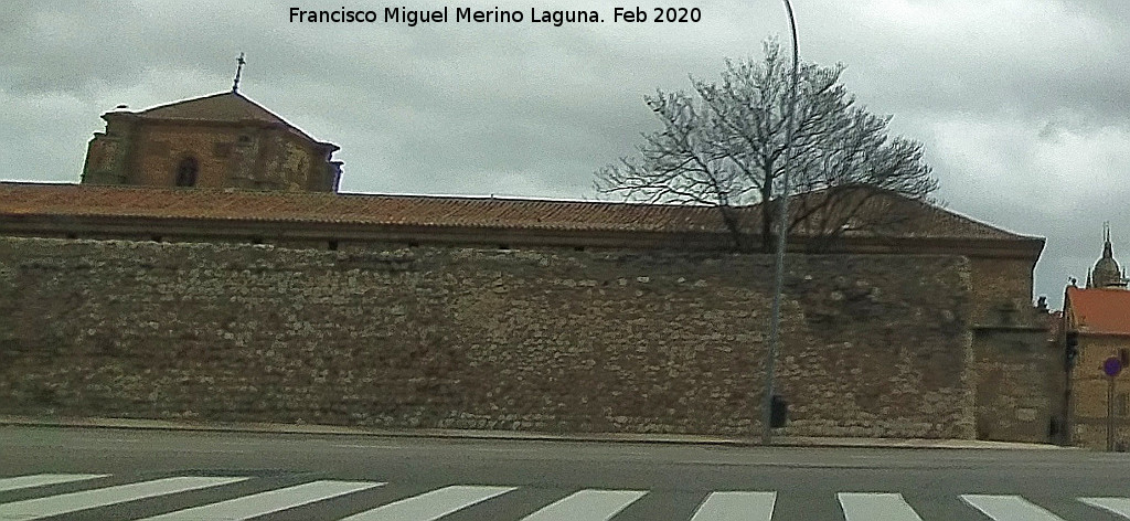 Colegio del Arzobispo Fonseca - Colegio del Arzobispo Fonseca. 