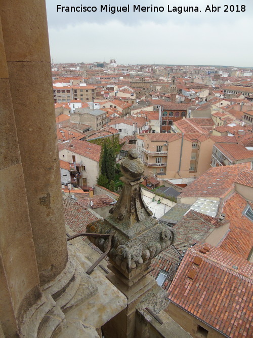 Pinculo - Pinculo. La Clereca - Salamanca