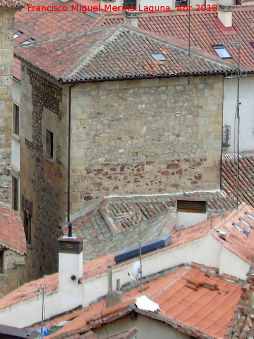 Torre de los Anaya - Torre de los Anaya. Desde la Clereca