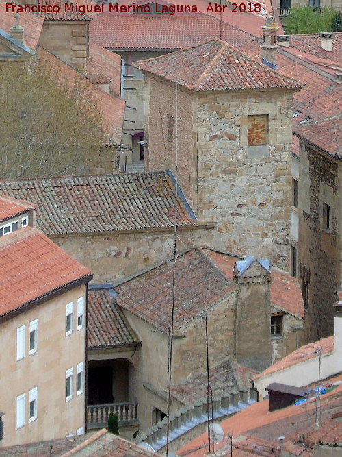 Palacio de Orellana - Palacio de Orellana. Desde la Clereca