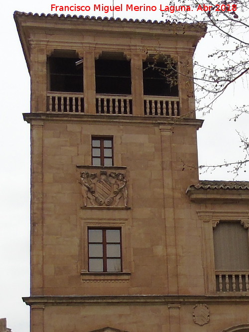 Palacio de Orellana - Palacio de Orellana. Torre mirador