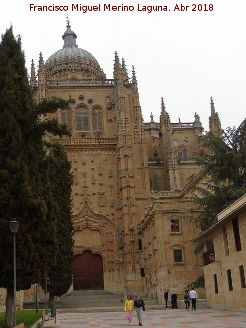 Catedral Nueva. Portada Sur - Catedral Nueva. Portada Sur. 