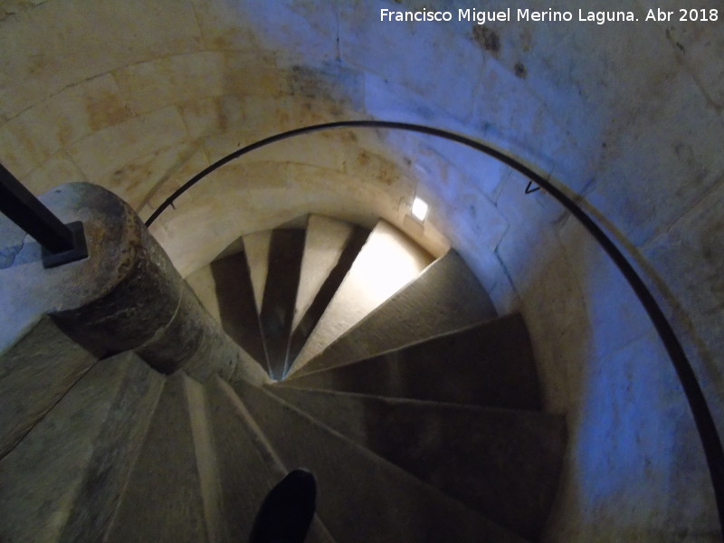 Catedral Vieja. Sala de la Torre Mocha - Catedral Vieja. Sala de la Torre Mocha. Escaleras de caracol