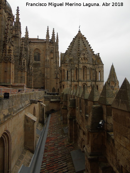 Catedral Vieja. Pasarela hacia la Torre del Gallo - Catedral Vieja. Pasarela hacia la Torre del Gallo. 