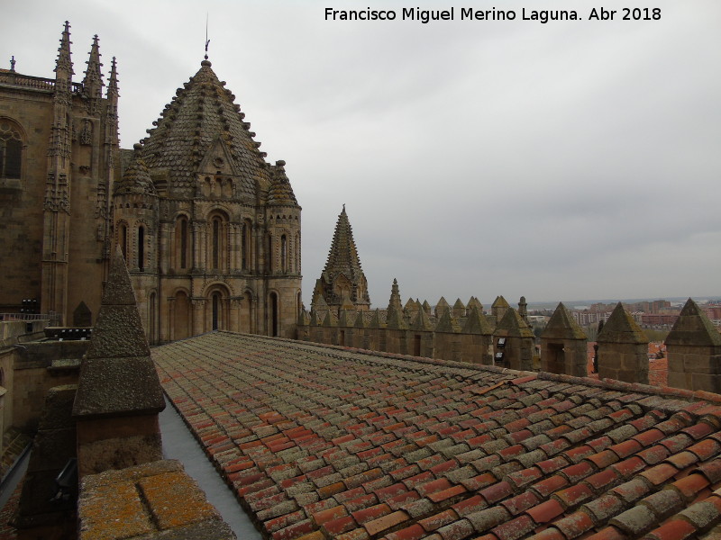 Catedral Vieja. Pasarela hacia la Torre del Gallo - Catedral Vieja. Pasarela hacia la Torre del Gallo. 