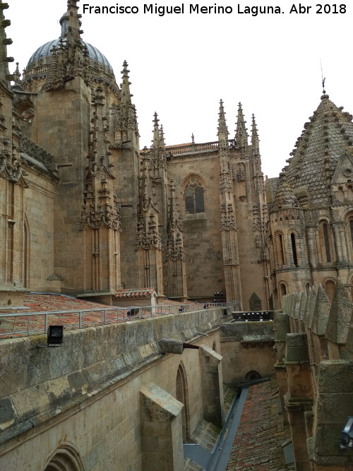 Catedral Vieja. Pasarela hacia la Torre del Gallo - Catedral Vieja. Pasarela hacia la Torre del Gallo. 