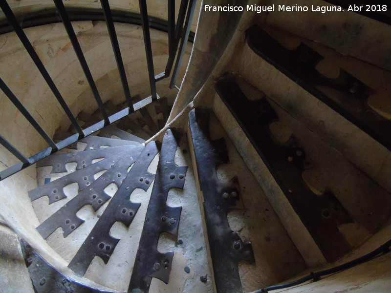 Catedral Nueva. Escalera de Mallorca - Catedral Nueva. Escalera de Mallorca. 