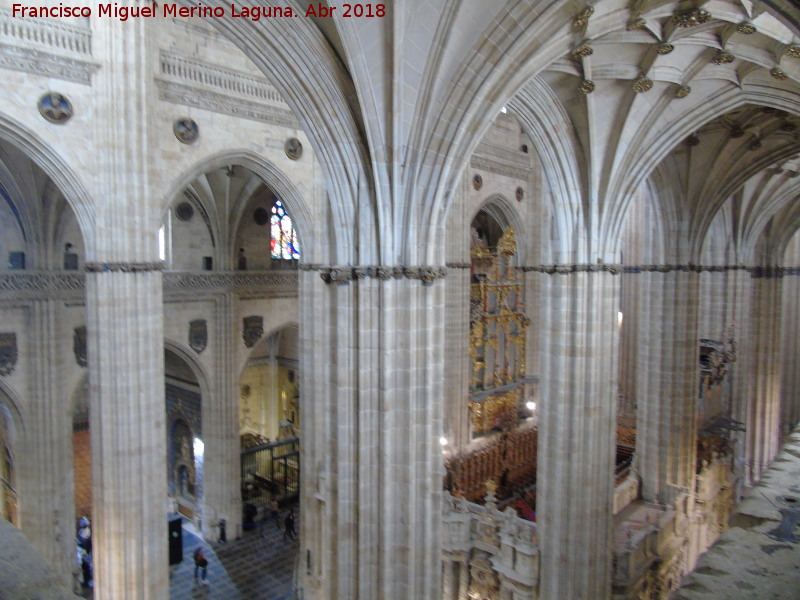 Catedral Nueva. Triforio - Catedral Nueva. Triforio. Vistas