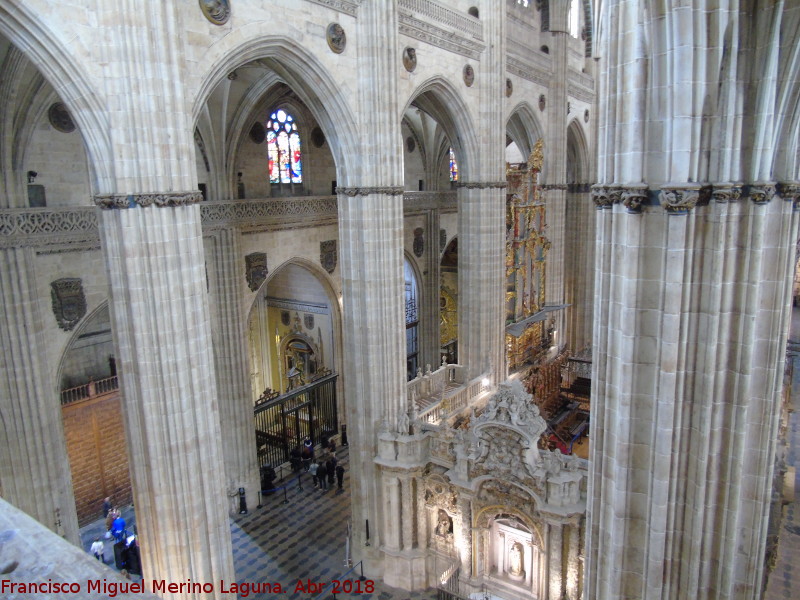 Catedral Nueva. Triforio - Catedral Nueva. Triforio. Vistas