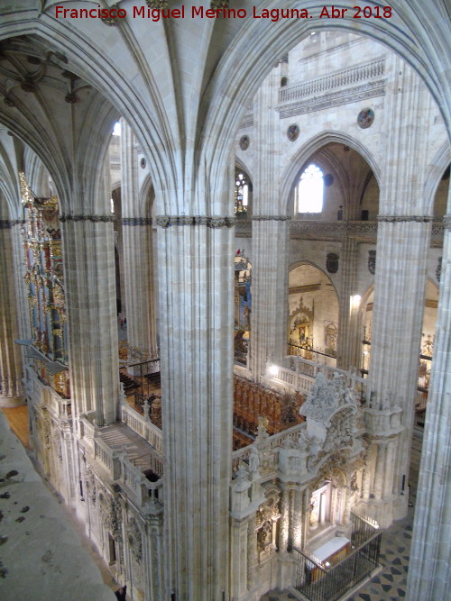 Catedral Nueva. Triforio - Catedral Nueva. Triforio. Vistas