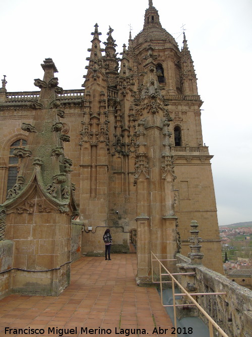 Catedral Nueva. Terraza de Anaya - Catedral Nueva. Terraza de Anaya. 