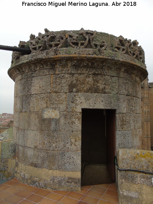 Catedral Nueva. Terraza de Anaya - Catedral Nueva. Terraza de Anaya. 