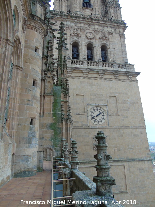 Catedral Nueva. Terraza de Anaya - Catedral Nueva. Terraza de Anaya. 