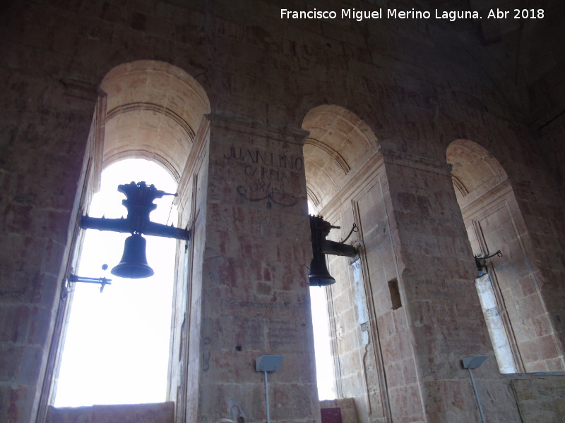 Catedral Vieja. Cuerpo de Campanas - Catedral Vieja. Cuerpo de Campanas. Campanas