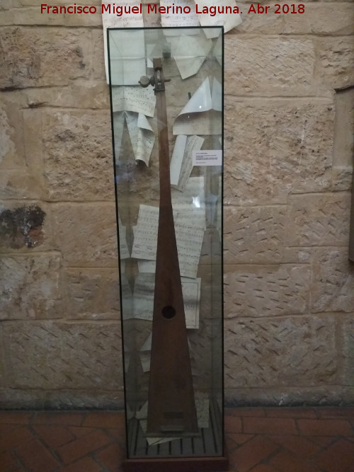 Trompeta marina - Trompeta marina. Catedral Vieja de Salamanca