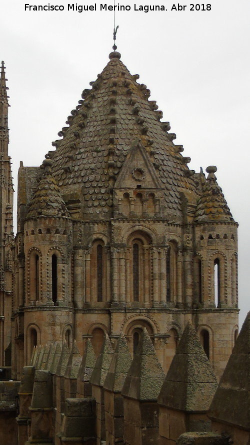 Catedral Vieja. Torre del Gallo - Catedral Vieja. Torre del Gallo. 