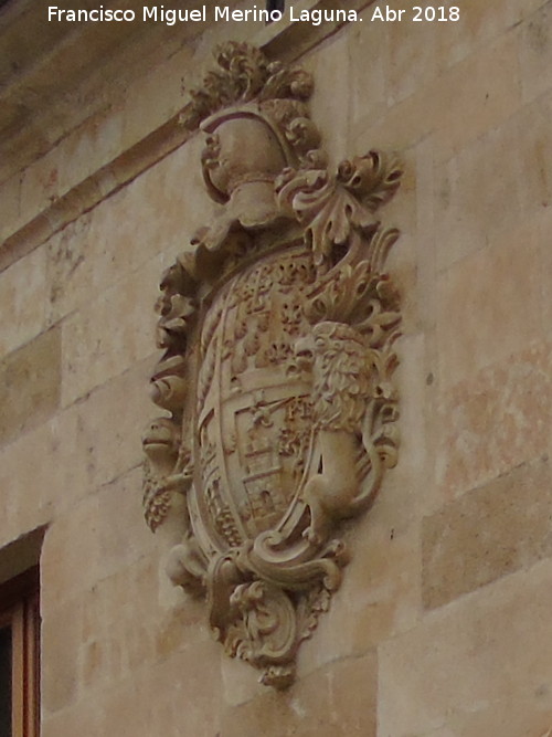 Palacio de los Villafuerte - Palacio de los Villafuerte. Escudo