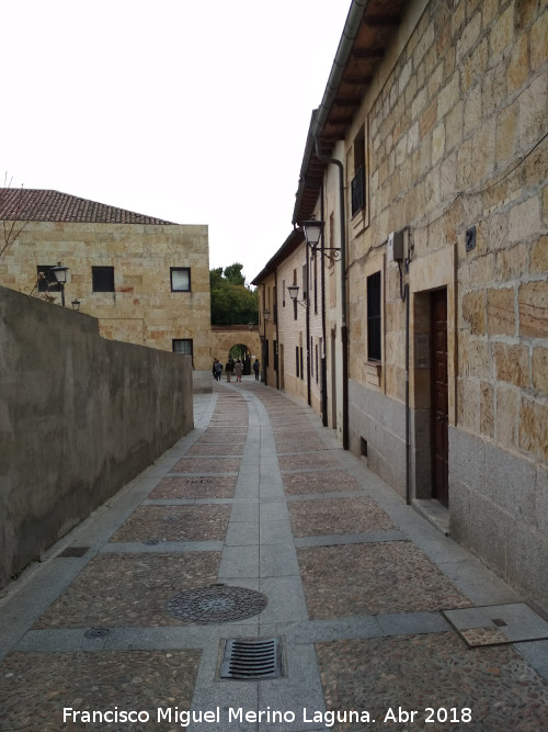 Calle Arcediano - Calle Arcediano. 