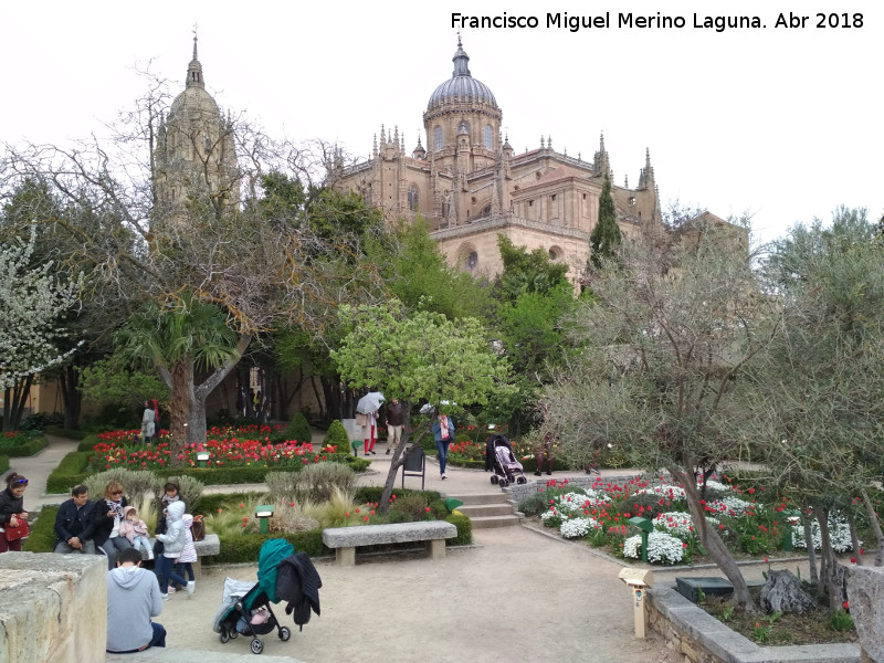 Huerto de Calixto y Melibea - Huerto de Calixto y Melibea. Con la catedral al fondo